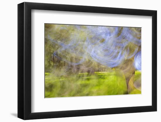 Mexico, Baja California, Tecate. Blur of Rancho La Puerta Scene-Don Paulson-Framed Photographic Print