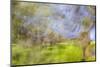 Mexico, Baja California, Tecate. Blur of Rancho La Puerta Scene-Don Paulson-Mounted Photographic Print