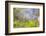 Mexico, Baja California, Tecate. Blur of Rancho La Puerta Scene-Don Paulson-Framed Photographic Print