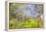 Mexico, Baja California, Tecate. Blur of Rancho La Puerta Scene-Don Paulson-Framed Premier Image Canvas