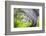 Mexico, Baja California, Tecate. Blur of Rancho La Puerta Scene-Don Paulson-Framed Photographic Print