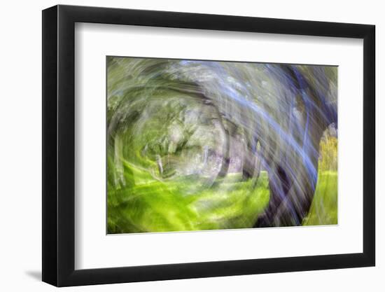 Mexico, Baja California, Tecate. Blur of Rancho La Puerta Scene-Don Paulson-Framed Photographic Print