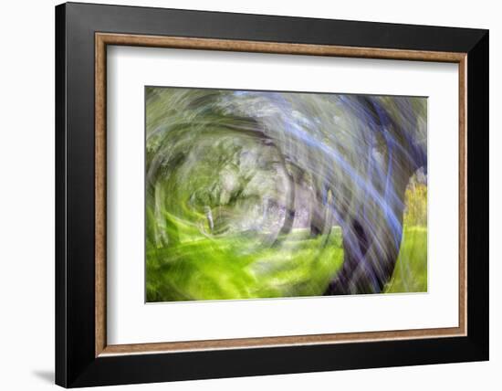 Mexico, Baja California, Tecate. Blur of Rancho La Puerta Scene-Don Paulson-Framed Photographic Print