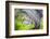 Mexico, Baja California, Tecate. Blur of Rancho La Puerta Scene-Don Paulson-Framed Photographic Print