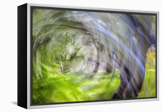 Mexico, Baja California, Tecate. Blur of Rancho La Puerta Scene-Don Paulson-Framed Premier Image Canvas