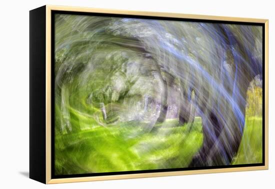 Mexico, Baja California, Tecate. Blur of Rancho La Puerta Scene-Don Paulson-Framed Premier Image Canvas