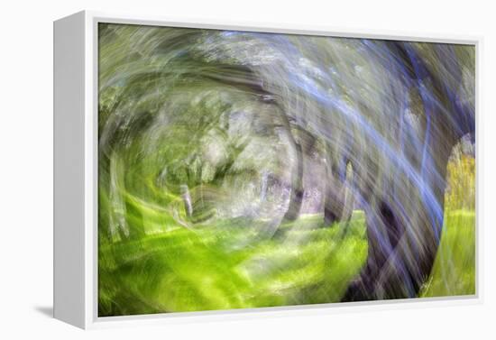 Mexico, Baja California, Tecate. Blur of Rancho La Puerta Scene-Don Paulson-Framed Premier Image Canvas