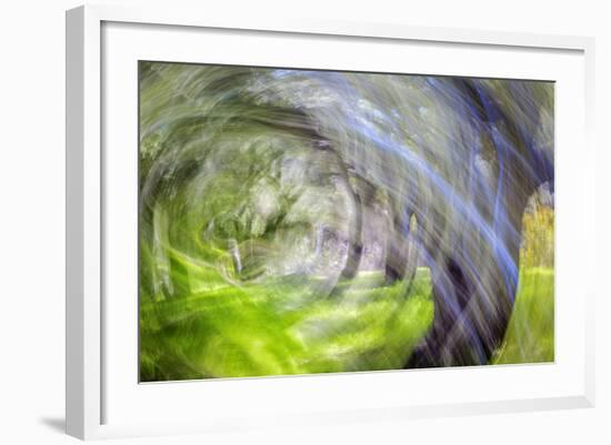 Mexico, Baja California, Tecate. Blur of Rancho La Puerta Scene-Don Paulson-Framed Photographic Print