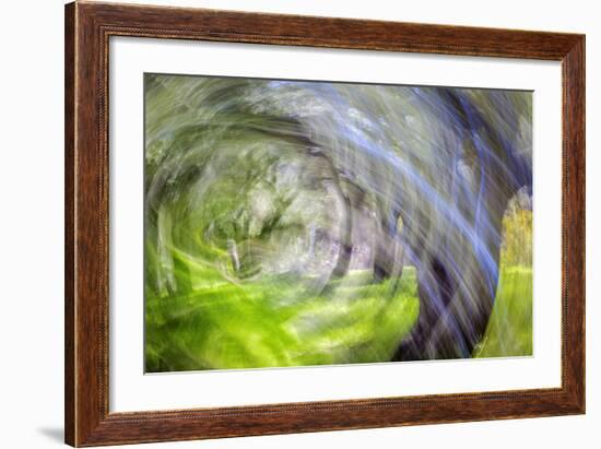 Mexico, Baja California, Tecate. Blur of Rancho La Puerta Scene-Don Paulson-Framed Photographic Print