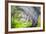 Mexico, Baja California, Tecate. Blur of Rancho La Puerta Scene-Don Paulson-Framed Photographic Print