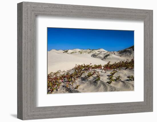 Mexico. Baja, Gulf of California, Magdalena Beach. Sand dunes.-Janet Muir-Framed Photographic Print