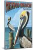Mexico Beach, Florida - Brown Pelicans-Lantern Press-Mounted Art Print