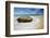 Mexico, Cabo San Lucas. Ocean Shore Landscape-Jaynes Gallery-Framed Photographic Print