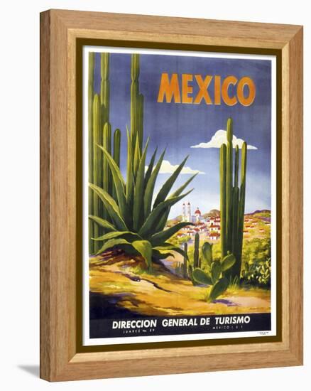 Mexico Cactus-null-Framed Premier Image Canvas