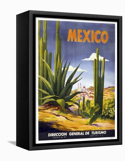 Mexico Cactus-null-Framed Premier Image Canvas