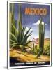 Mexico Cactus-null-Mounted Giclee Print