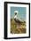 Mexico, Caribbean. Pelecanus Occidentalis, Male Brown Pelican-David Slater-Framed Photographic Print