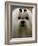 Mexico Dog Show-Eduardo Verdugo-Framed Photographic Print