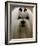 Mexico Dog Show-Eduardo Verdugo-Framed Photographic Print