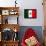 Mexico Flag Design with Wood Patterning - Flags of the World Series-Philippe Hugonnard-Framed Stretched Canvas displayed on a wall