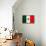 Mexico Flag Design with Wood Patterning - Flags of the World Series-Philippe Hugonnard-Framed Stretched Canvas displayed on a wall