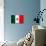 Mexico Flag Design with Wood Patterning - Flags of the World Series-Philippe Hugonnard-Art Print displayed on a wall