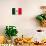 Mexico Flag Design with Wood Patterning - Flags of the World Series-Philippe Hugonnard-Premium Giclee Print displayed on a wall