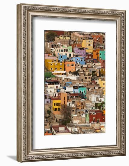 Mexico, Guanajuato. Colorful Homes Rise Up the Hillside of This Colorful Mexican Town-Brenda Tharp-Framed Photographic Print