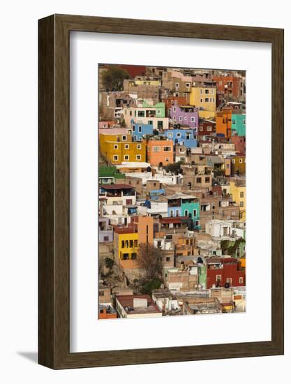 Mexico, Guanajuato. Colorful Homes Rise Up the Hillside of This Colorful Mexican Town-Brenda Tharp-Framed Photographic Print