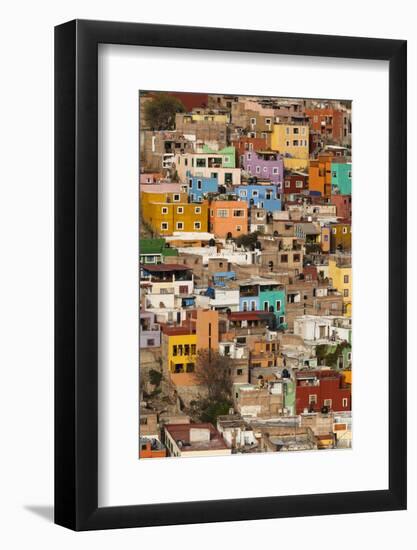 Mexico, Guanajuato. Colorful Homes Rise Up the Hillside of This Colorful Mexican Town-Brenda Tharp-Framed Photographic Print