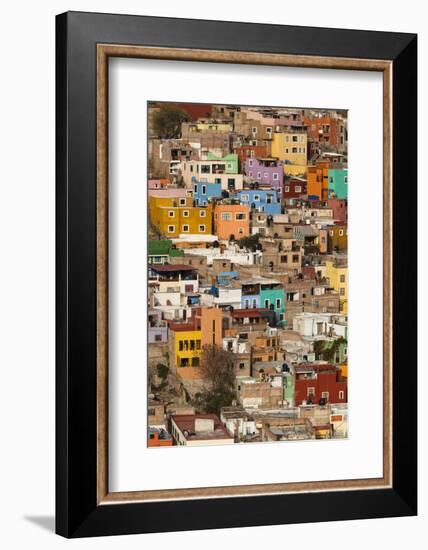 Mexico, Guanajuato. Colorful Homes Rise Up the Hillside of This Colorful Mexican Town-Brenda Tharp-Framed Photographic Print