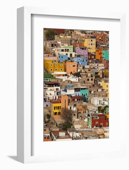 Mexico, Guanajuato. Colorful Homes Rise Up the Hillside of This Colorful Mexican Town-Brenda Tharp-Framed Photographic Print