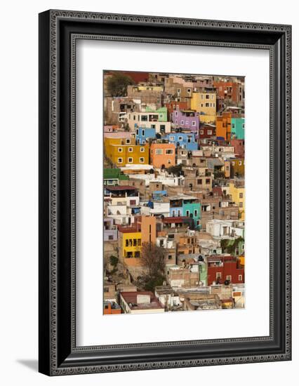 Mexico, Guanajuato. Colorful Homes Rise Up the Hillside of This Colorful Mexican Town-Brenda Tharp-Framed Photographic Print