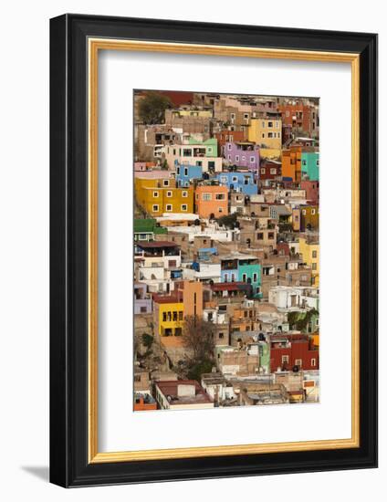 Mexico, Guanajuato. Colorful Homes Rise Up the Hillside of This Colorful Mexican Town-Brenda Tharp-Framed Photographic Print