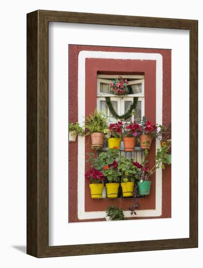 Mexico, Guanajuato. Flower Pots Outside Window-Jaynes Gallery-Framed Photographic Print