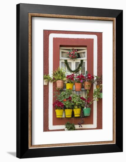 Mexico, Guanajuato. Flower Pots Outside Window-Jaynes Gallery-Framed Photographic Print