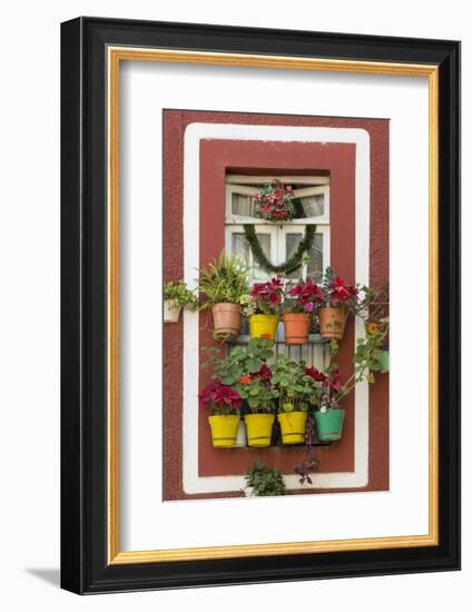 Mexico, Guanajuato. Flower Pots Outside Window-Jaynes Gallery-Framed Photographic Print