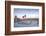 Mexico, Mexico City, Zocalo, Main Square, Lowering Of The Mexican Flag, National Palace, Palacio Na-John Coletti-Framed Photographic Print