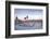 Mexico, Mexico City, Zocalo, Main Square, Lowering Of The Mexican Flag, National Palace, Palacio Na-John Coletti-Framed Photographic Print