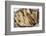 Mexico, Oaxaca Province, Oaxaca, Taquitos on Display in Market-Merrill Images-Framed Photographic Print