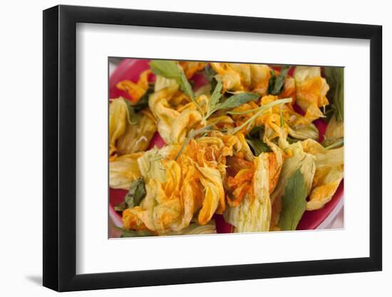 Mexico, Oaxaca, Squash Blossom Flowers-Merrill Images-Framed Photographic Print