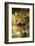 Mexico, Panthera Onca, Jaguar Portrait-David Slater-Framed Photographic Print