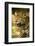 Mexico, Panthera Onca, Jaguar Portrait-David Slater-Framed Photographic Print