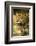 Mexico, Panthera Onca, Jaguar Portrait-David Slater-Framed Photographic Print