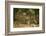 Mexico, Panthera Onca, Jaguar Walking in Forest-David Slater-Framed Photographic Print