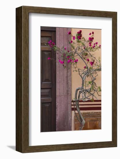 Mexico, San Miguel De Allende, Closed Wooden Door, Stone Doorway and Flowering Tree-Judith Zimmerman-Framed Photographic Print