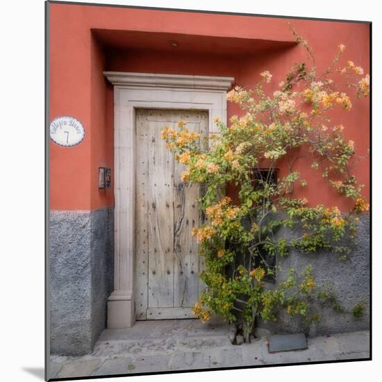 Mexico, San Miguel De Allende. Colorful Doorway. San Miguel De Allende-Jaynes Gallery-Mounted Photographic Print