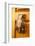 Mexico, San Miguel de Allende, doorknocker-Hollice Looney-Framed Photographic Print