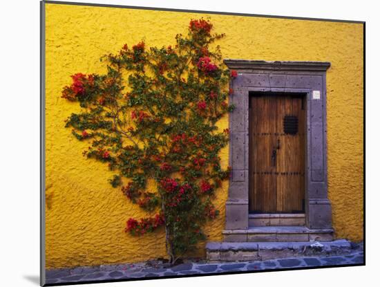 Mexico, San Miguel de Allende, Doorway with Flowering Bush-Terry Eggers-Mounted Photographic Print