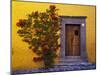 Mexico, San Miguel de Allende, Doorway with Flowering Bush-Terry Eggers-Mounted Photographic Print